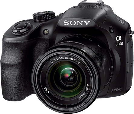 Sony a3000