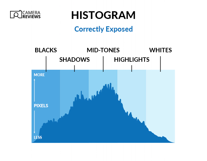 Camera terms graphic showing histogram and the various tones