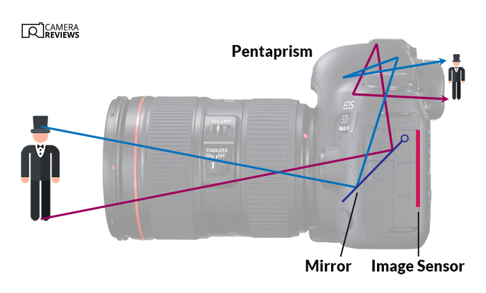 Illustration explaining what is a DSLR camera and how it works