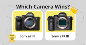 Sony a7 III vs Sony a7R III Comparison comparison image