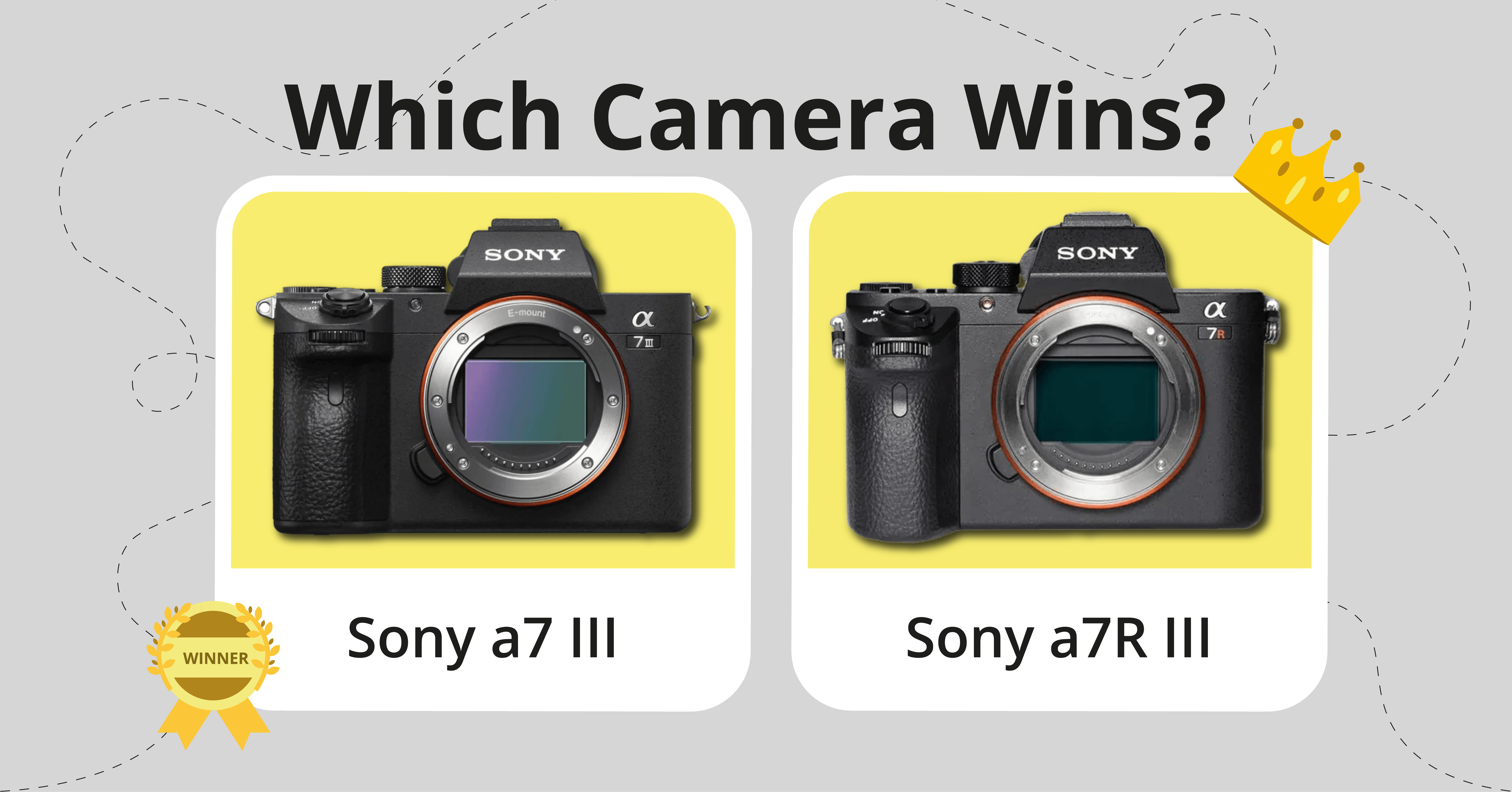 Sony a7 III vs Sony a7R III Comparison comparison image
