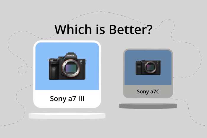 Sony a7 III vs a7C Comparison image