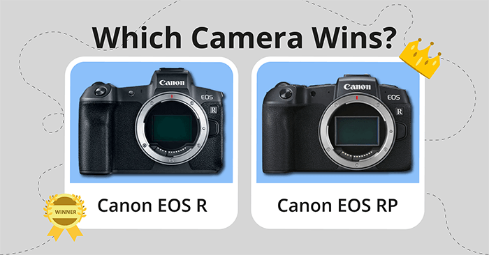 Canon EOS R vs RP comparison image