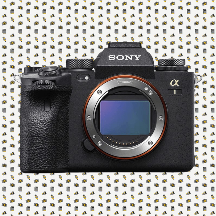 Our best auto focusing camera, the Sony a1