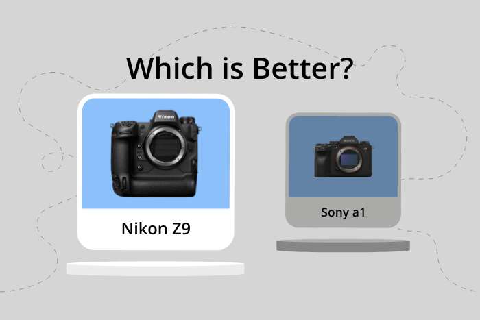Nikon Z9 vs Sony a1 comparison image