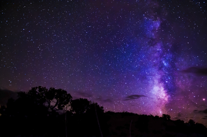The Milky Way above a tree-lined horizon