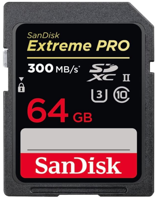 Product photo of a 300Mbs Sandisk SD card