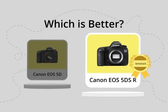 Canon EOS 5D vs 5DS R comparison image