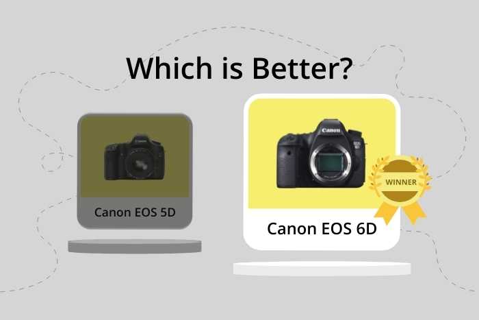 Canon 5D vs 6D comparison images