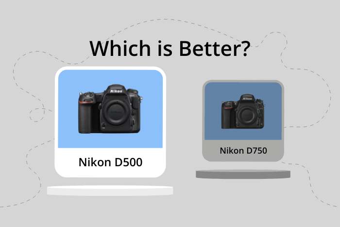 Nikon D500 vs D750 comparison