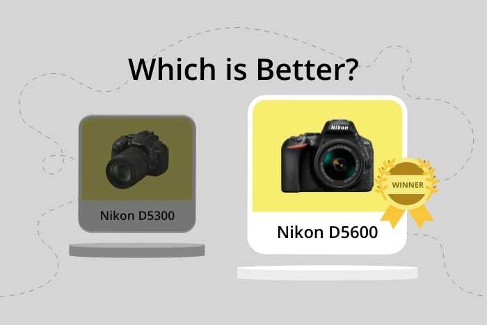 Nikon D5300 vs D5600 comparison image