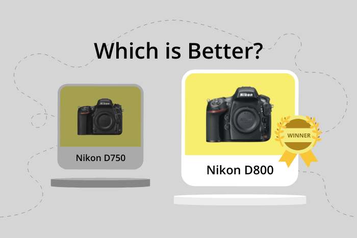 Nikon D750 vs D800 comparison image
