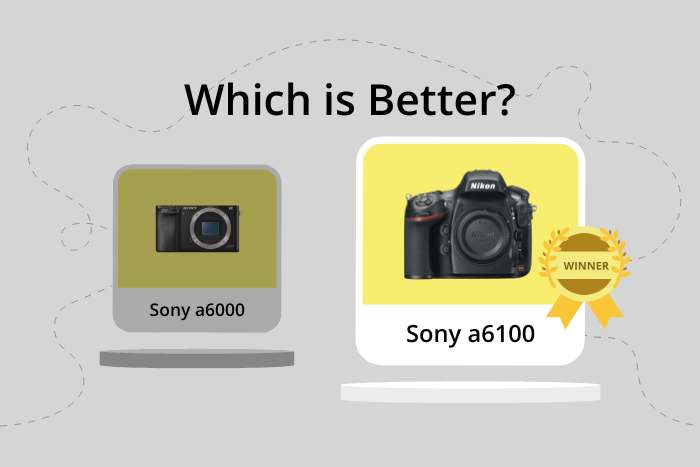Sony a6000 vs a6100 comparison image