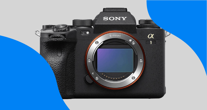 Best Cameras for Safari - Sony a1