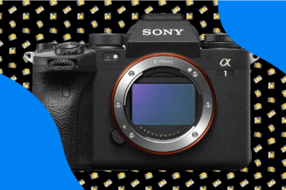 Best Cameras for Safari Sony a1