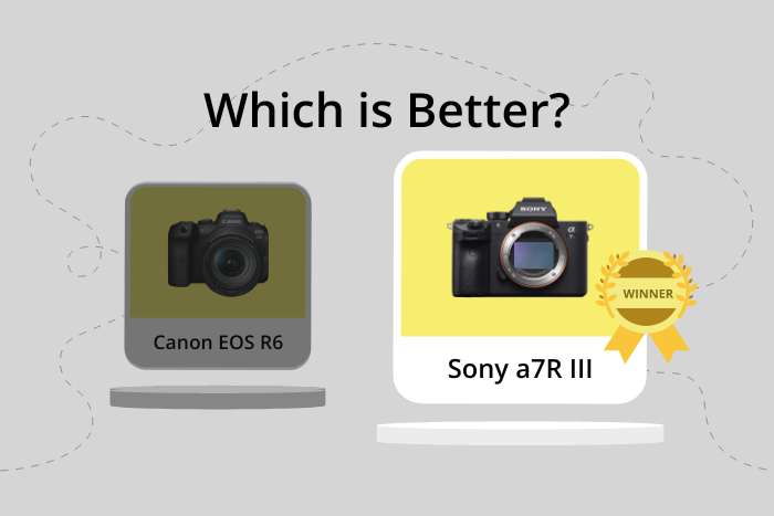 Canon R6 vs Sony a7R III comparison image