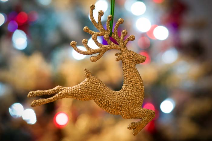 Picture of a reindeer Christmas ornament with bokeh in the background
