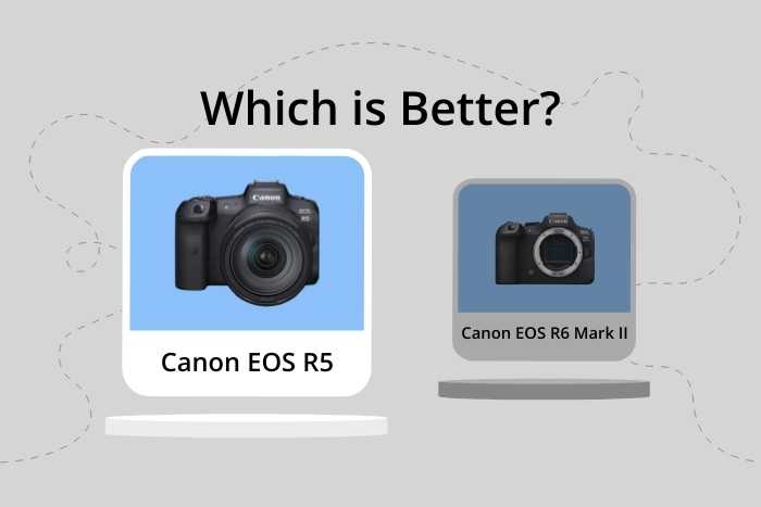 Canon R5 vs R6 Mark II comparison image