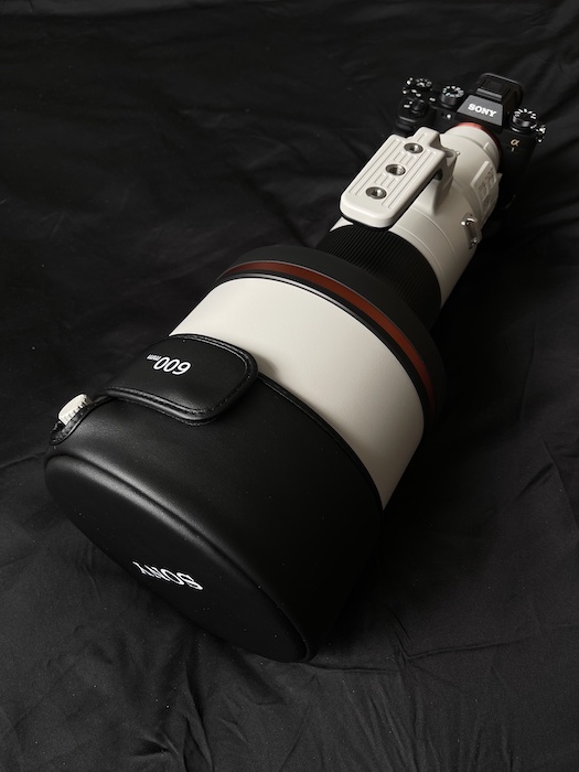A Sony a1 mirrorless camera with an 600mm telephoto lens attached