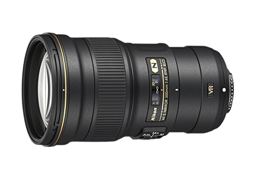 best nikon lens for bird watching