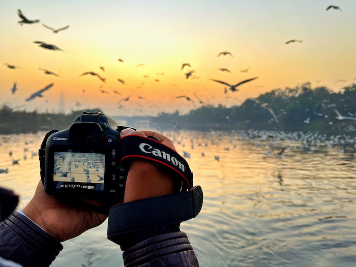 A person holding up a Canon EOS camera to take a picture of birds flying over water at sunset