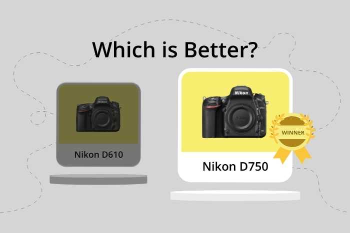 Nikon D610 vs D750 comparison image