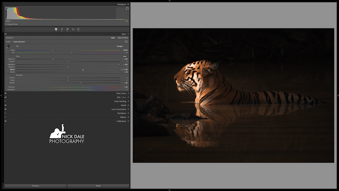 Tiger after histogram editing