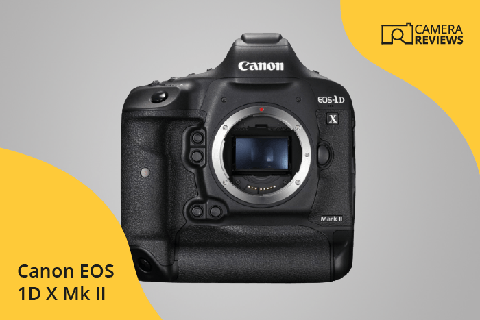 Canon EOS 1D X Mark II photographed on a colored background