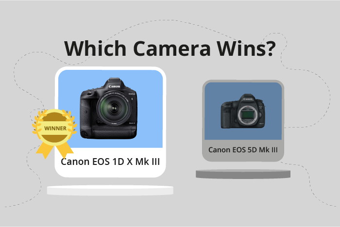 Canon EOS 1D X Mark III vs EOS 5D Mark III Comparison image.