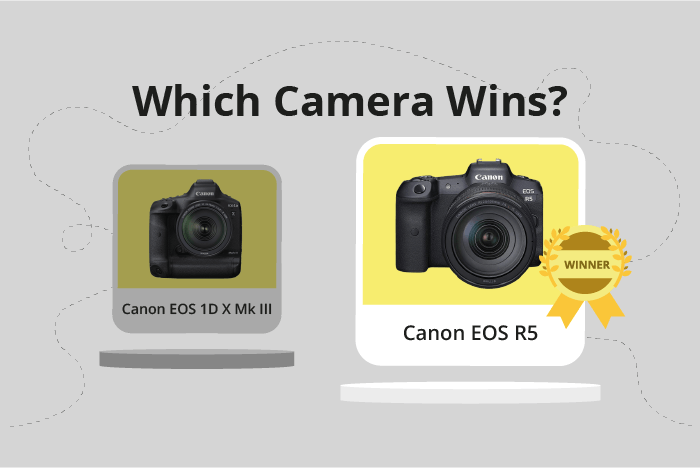 Canon EOS 1D X Mark III vs EOS R5 Comparison image.