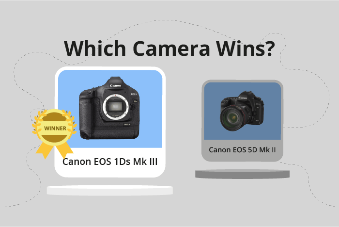 Canon EOS 1Ds Mark III vs EOS 5D Mark II Comparison image.