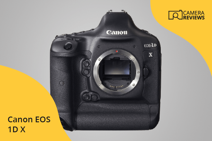 Canon EOS 1D X photographed on a colored background