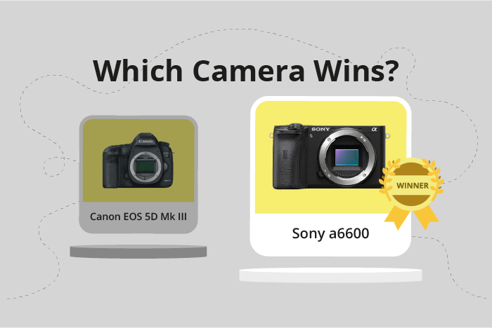 Canon EOS 5D Mark III vs Sony a6600 Comparison image.