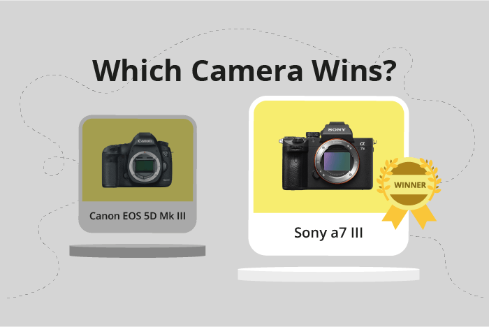 Canon EOS 5D Mark III vs Sony a7 III Comparison image.