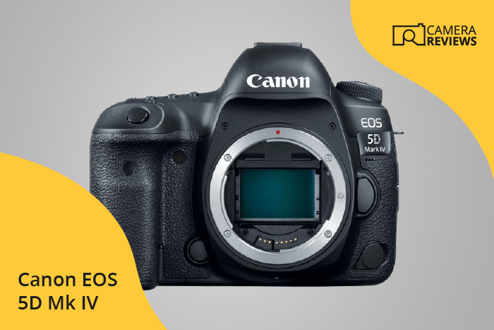 Canon EOS 5D Mark IV photographed on a colored background