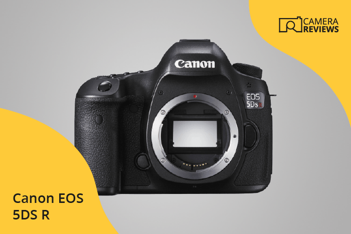 Canon EOS 5DS R photographed on a colored background