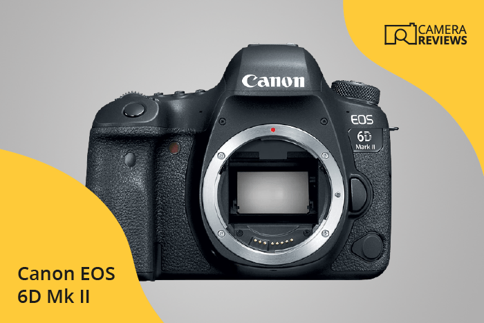 Canon EOS 6D Mark II photographed on a colored background
