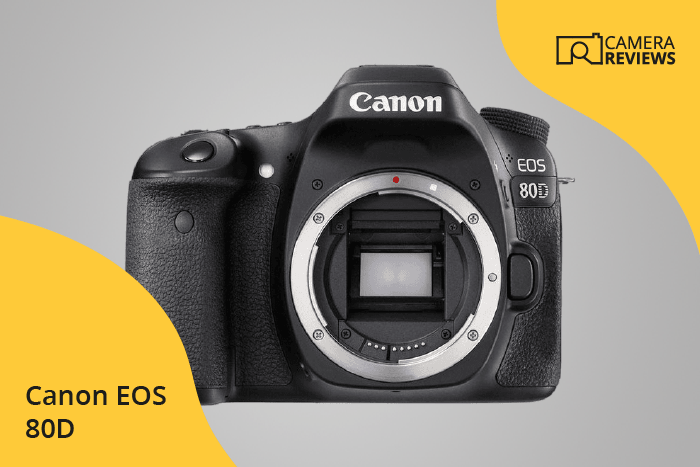 Canon EOS 80D photographed on a colored background