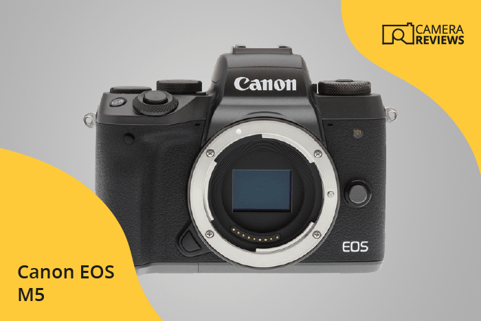 Canon EOS M5 photographed on a colored background