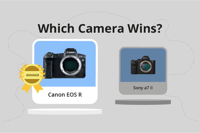 Canon EOS R vs Sony a7 II Comparison image.