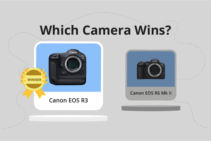 Canon EOS R3 vs EOS R6 Mark II Comparison image.