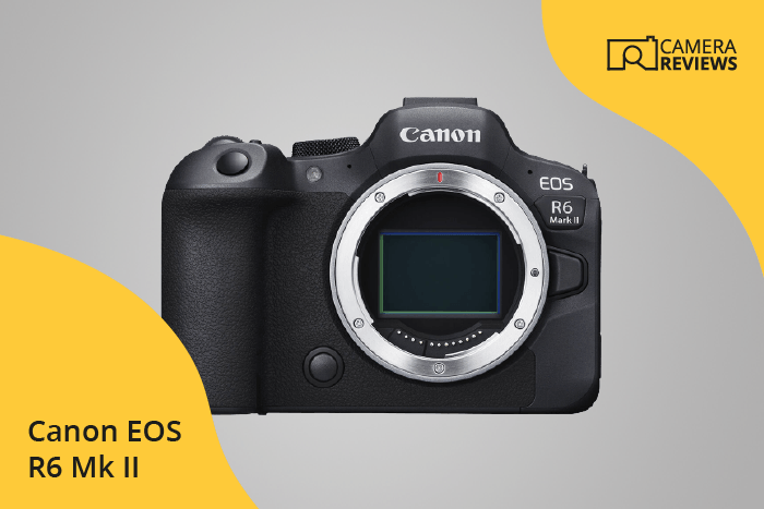 Canon EOS R6 Mark II photographed on a colored background