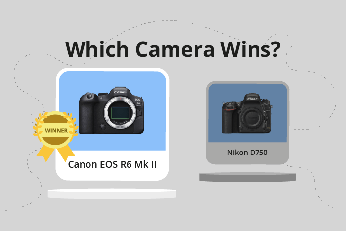 Canon EOS R6 Mark II vs Nikon D750 Comparison image.