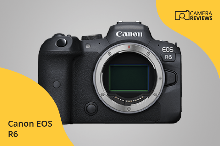 Canon EOS R6 photographed on a colored background