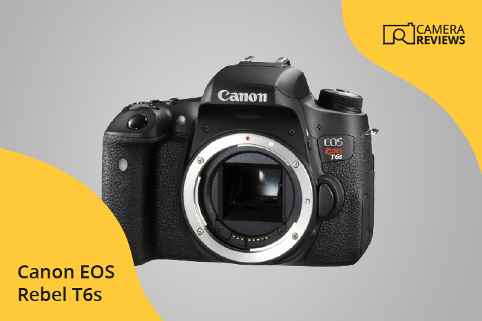 Canon EOS Rebel T6s / 760D photographed on a colored background