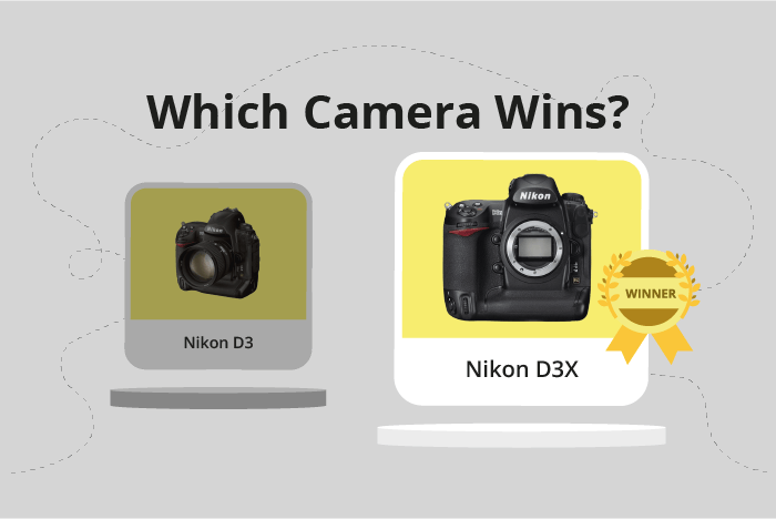 Nikon D3 vs D3X Comparison image.