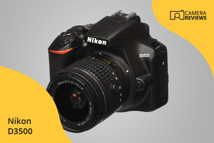 Nikon D3500 photographed on a colored background
