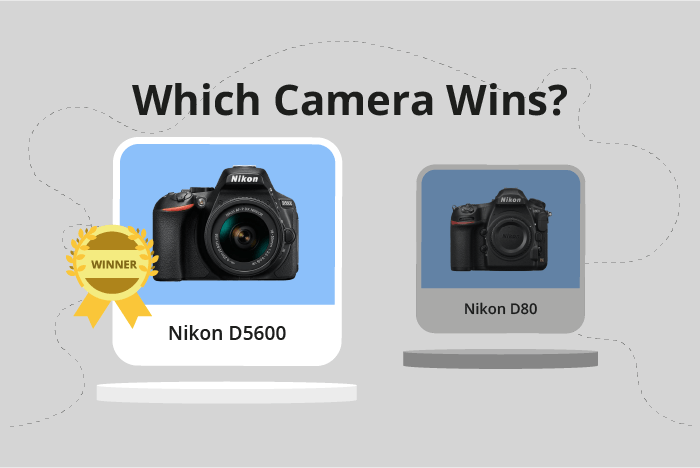 Nikon D5600 vs D80 Comparison image.