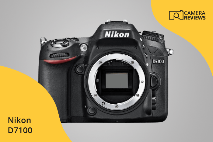 Nikon D7100 photographed on a colored background