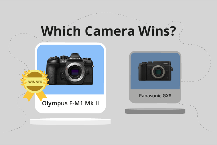 Olympus OM-D E-M1 Mark II vs Panasonic Lumix DMC-GX8 Comparison image.